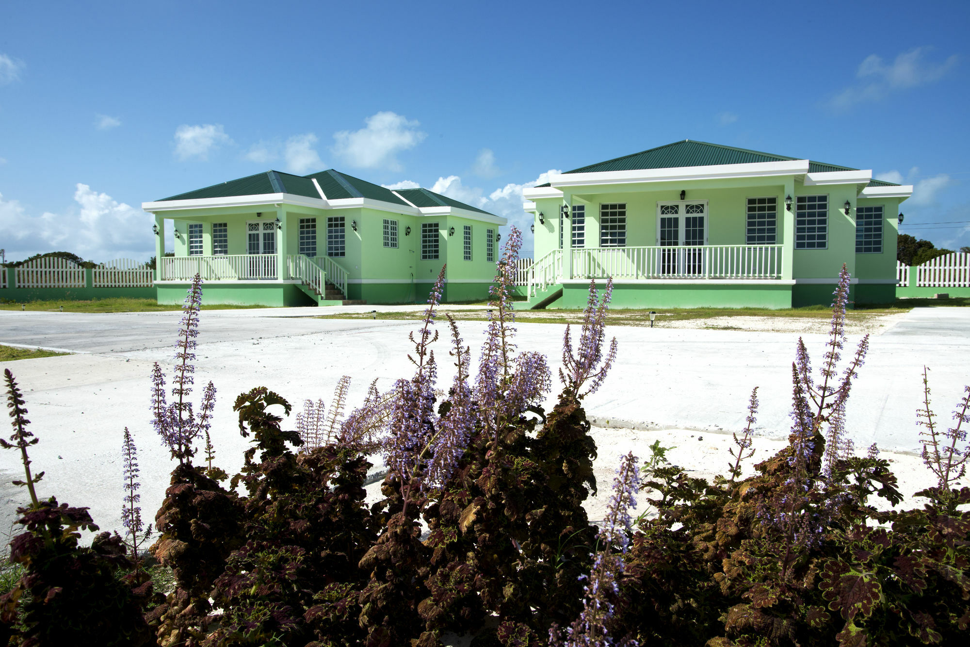 Sea Grape Villas The Settlement Dış mekan fotoğraf