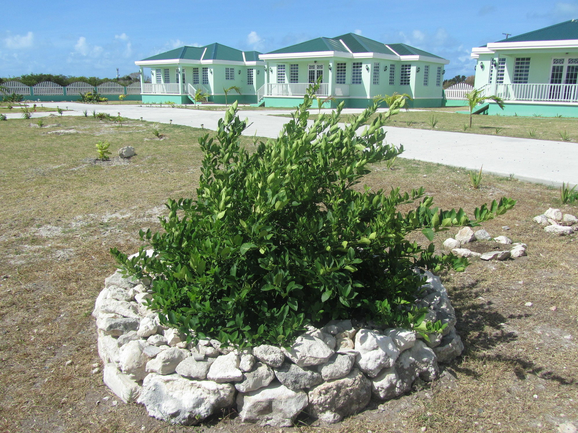 Sea Grape Villas The Settlement Dış mekan fotoğraf